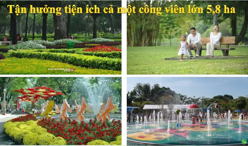 dự án căn hộ golden mansion
