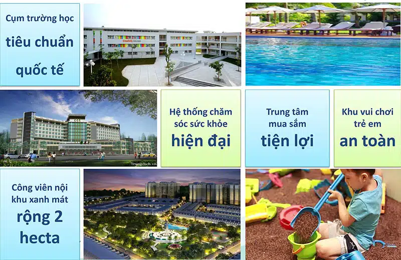 Dự án căn hộ Harbor City