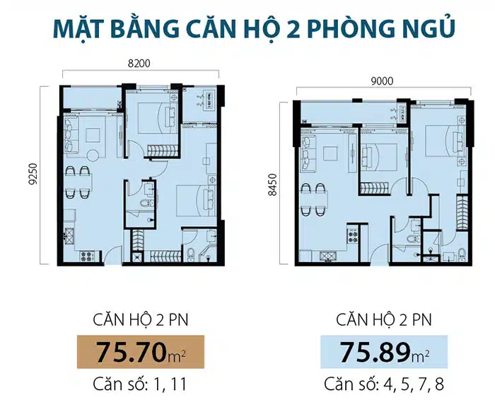 Dự án căn hộ Newton Residence