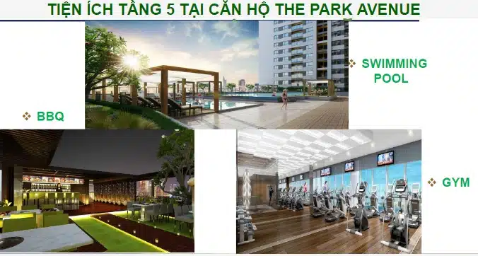 dự án căn hộ The Park Avenue