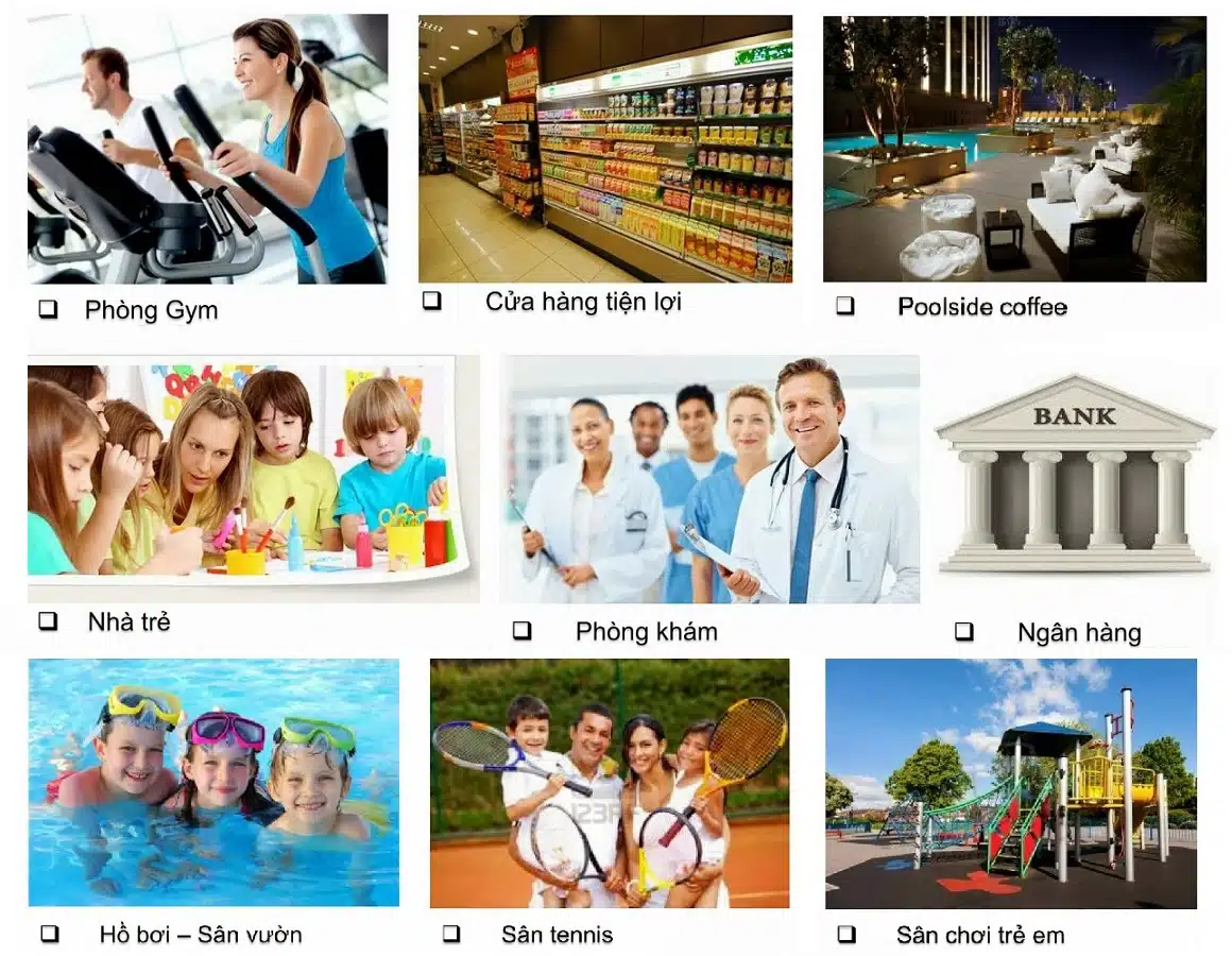 Cho thuê căn hộ chung cư Sunrise City