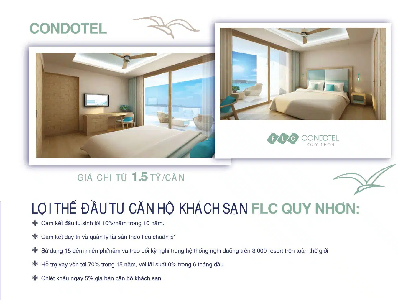 flc quy nhon