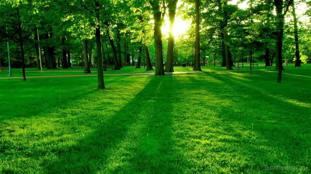 y-nao-khien-vinhomes-central-park-thanh-cong