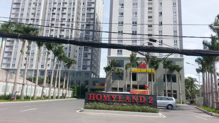 Homyland 2