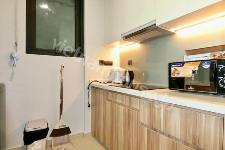 Thuê căn hộ 1PN Q2 Thảo Điền gần trường BIS, view thoáng